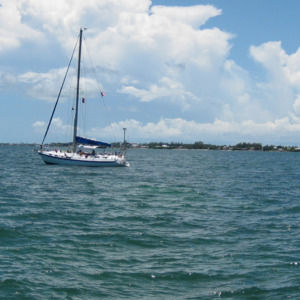 Meet your Posher, Bee